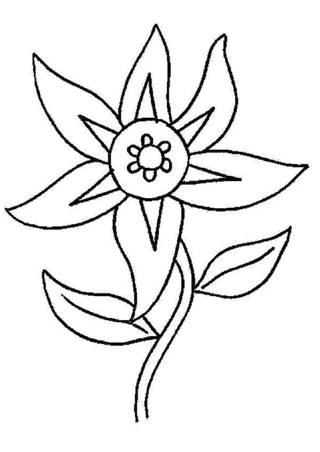 Раскраска Цветочек