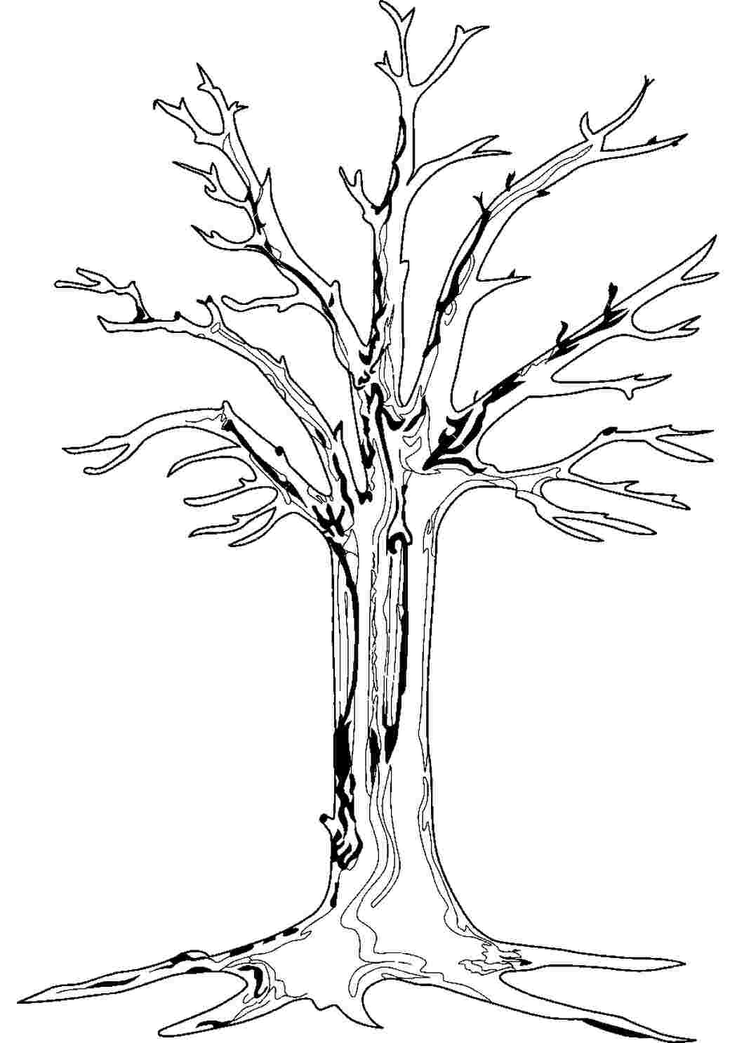Шаблон дерева с корнями без листьев