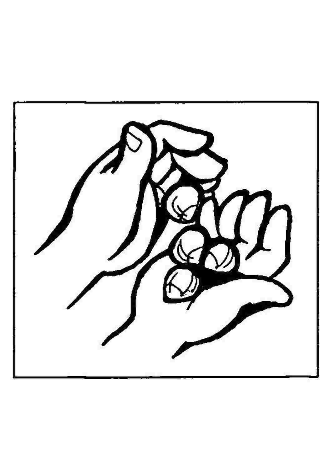 Раскраска Орешки