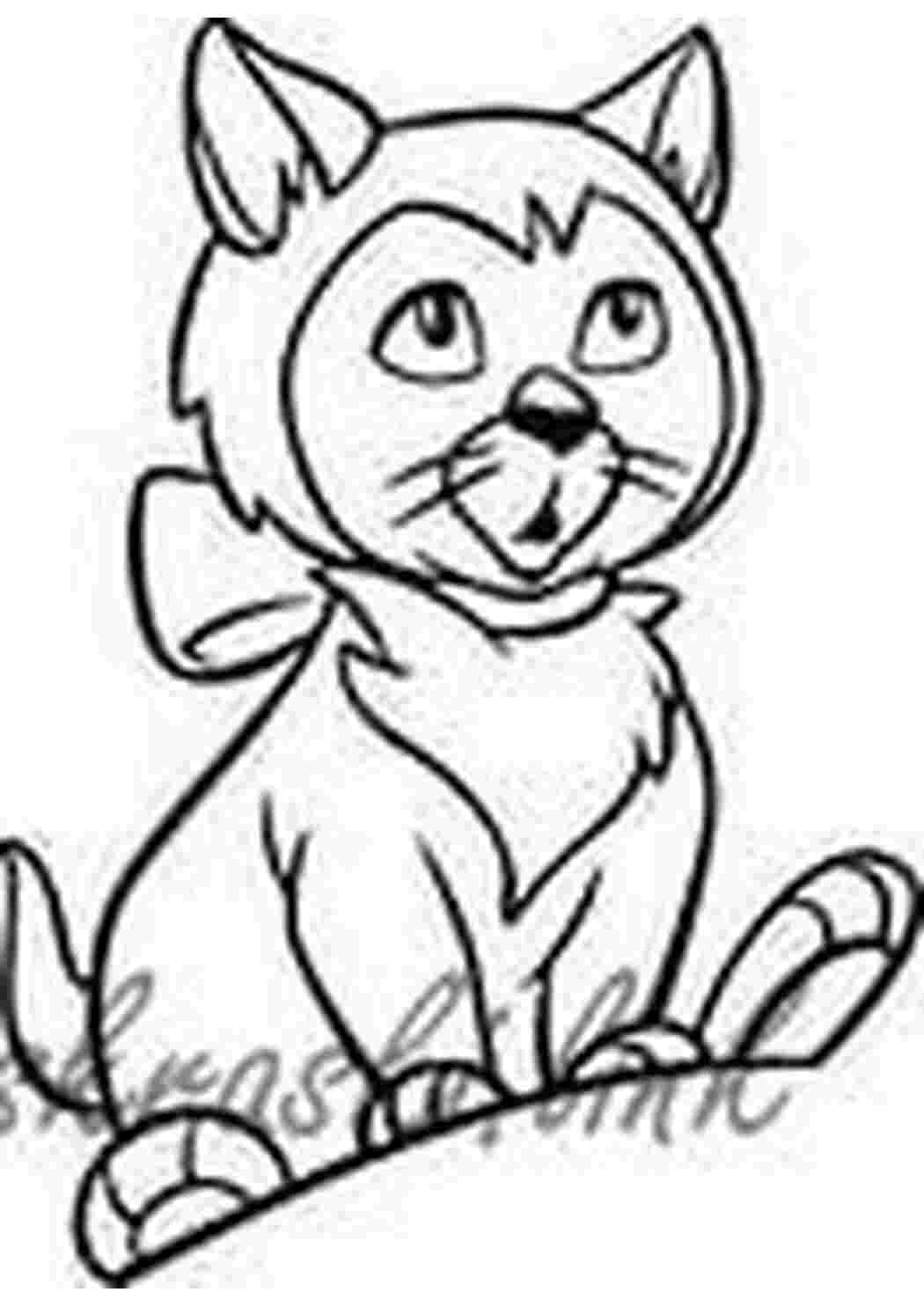 Раскраска котик