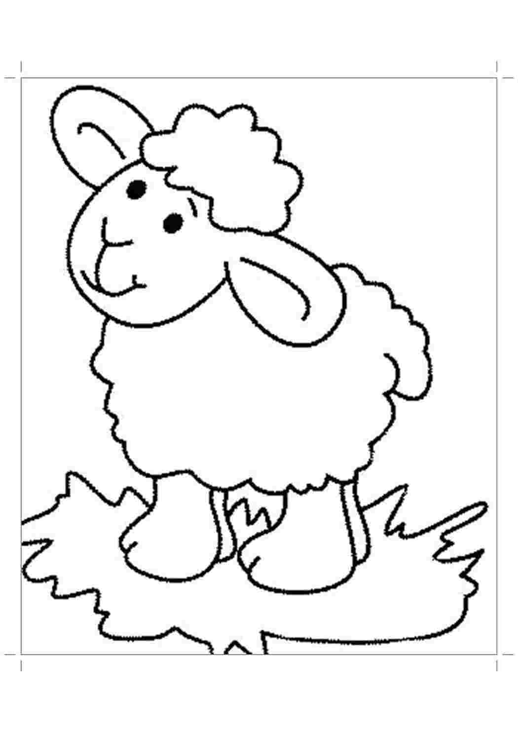 Рисунок овечка раскраска для детей