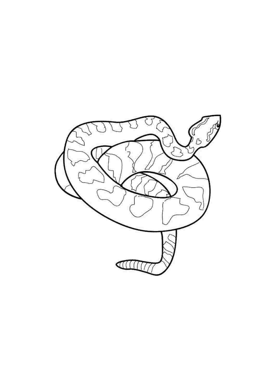 Раскраска Змея