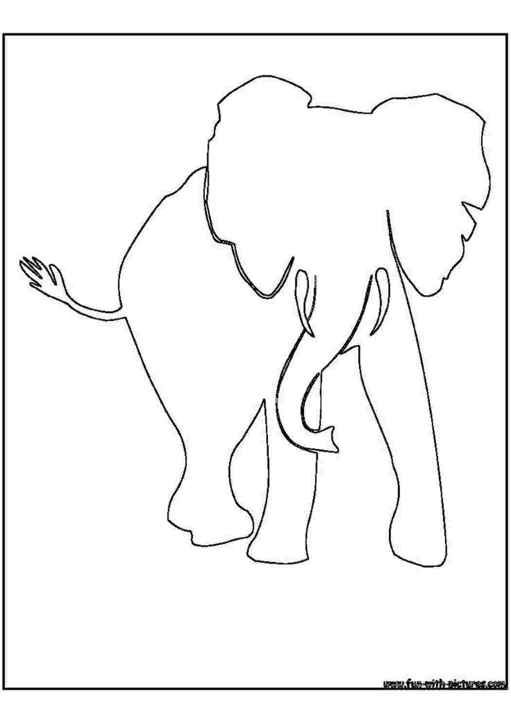 Слон очертания