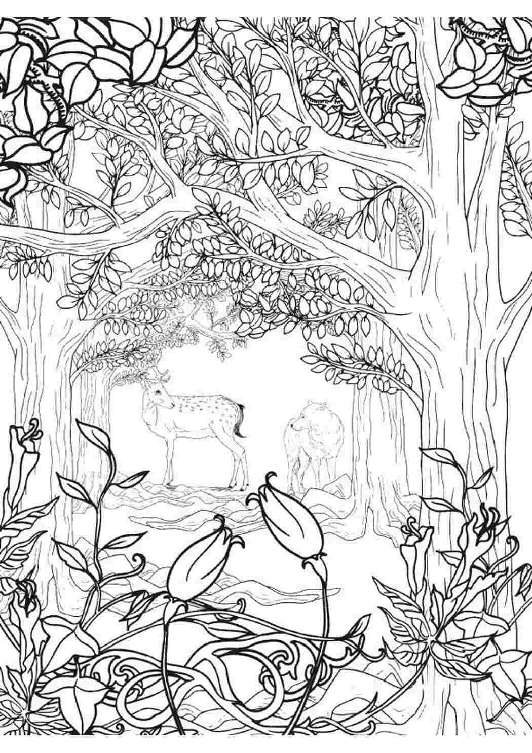 Раскраска Лесной Антистресс