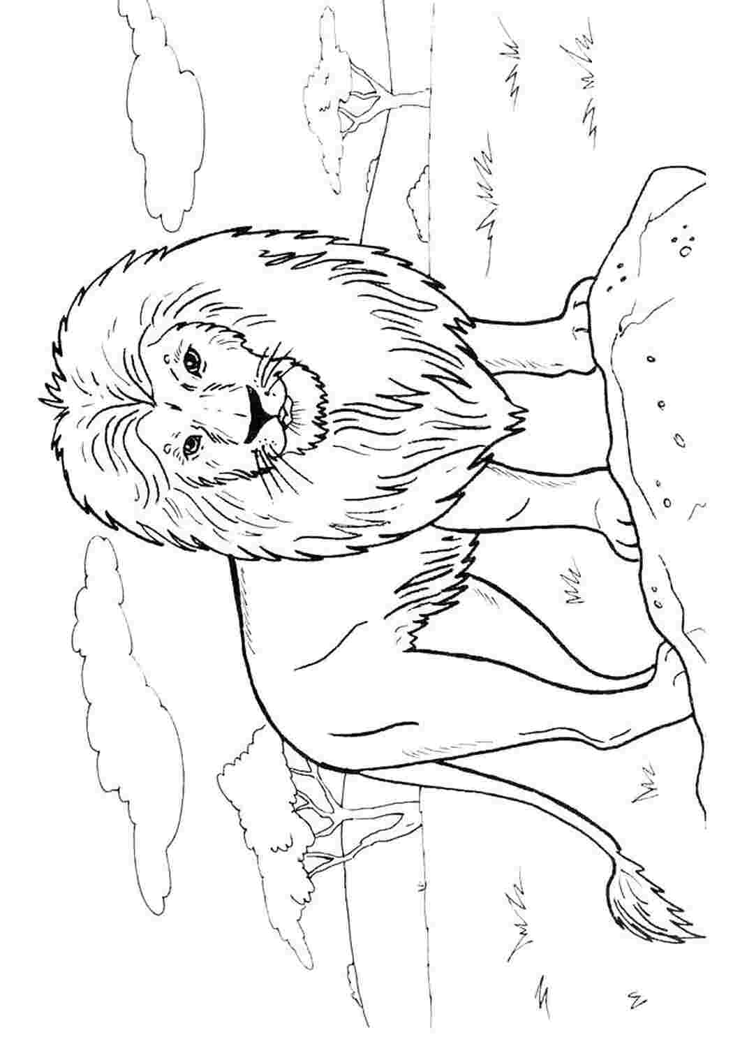 Раскраска грозный лев