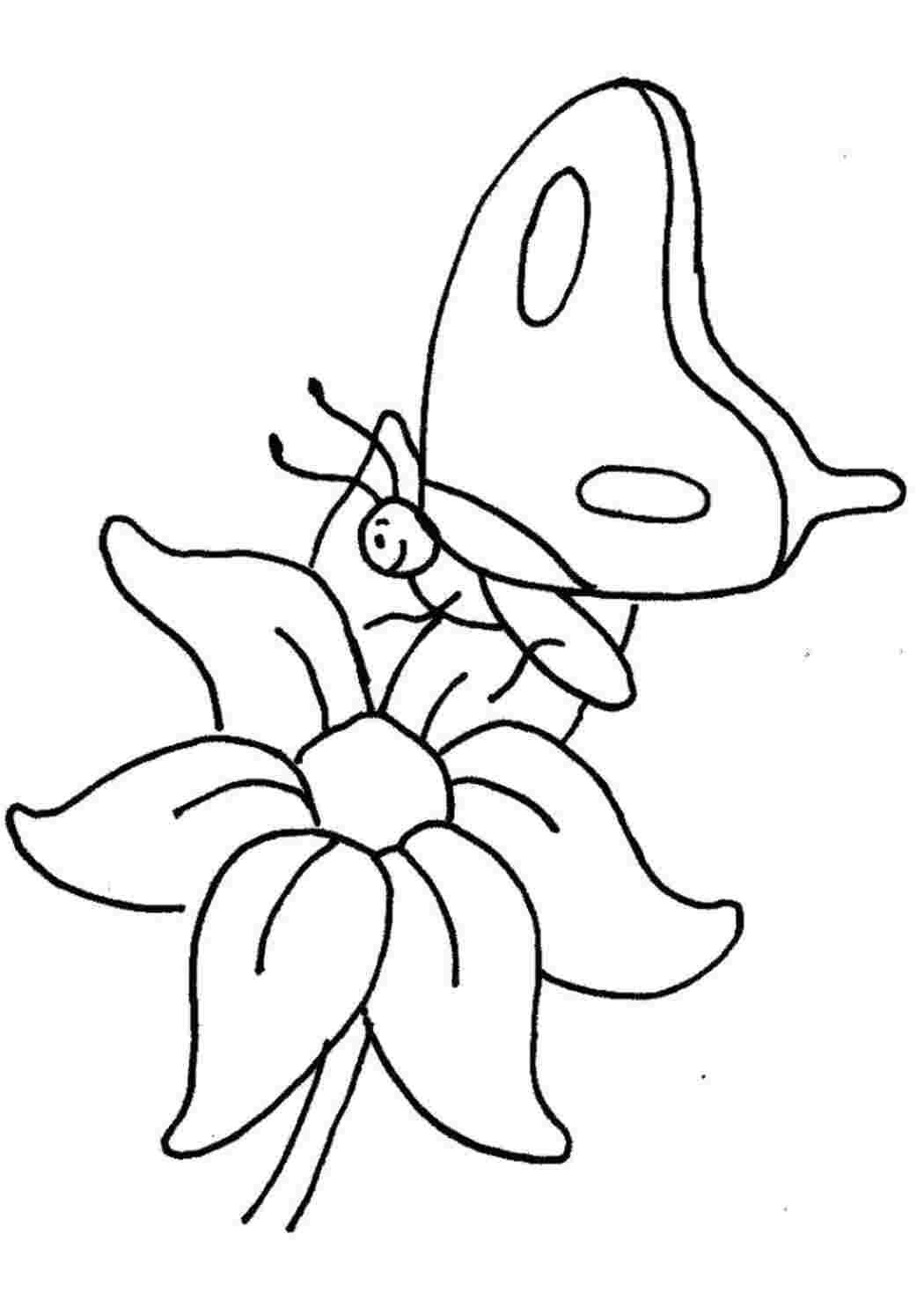 Раскраска бабочка на цветке