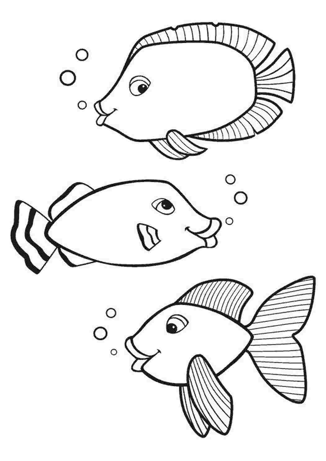 Раскраска Рыбы