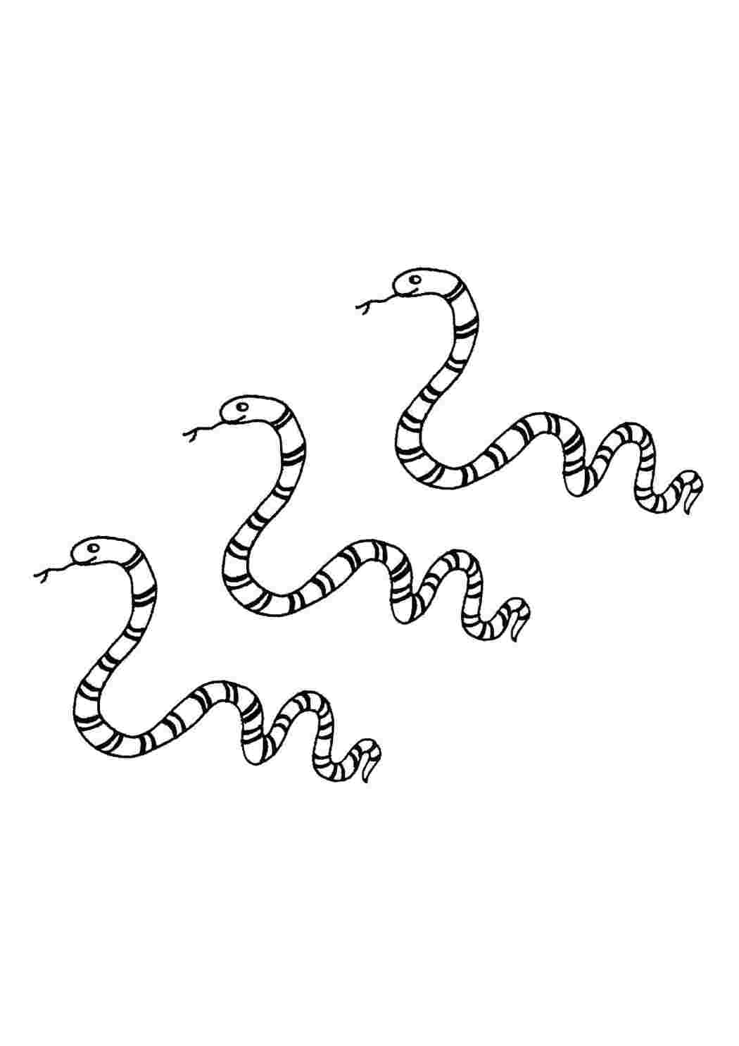 Ужи схема. Змейка раскраска. Змея раскраска для детей. Раскраска змеи для детей. Уж раскраска.