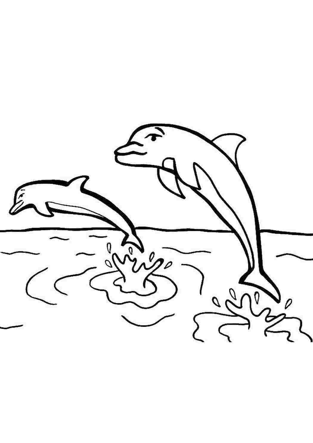 Раскраска дельфины в море