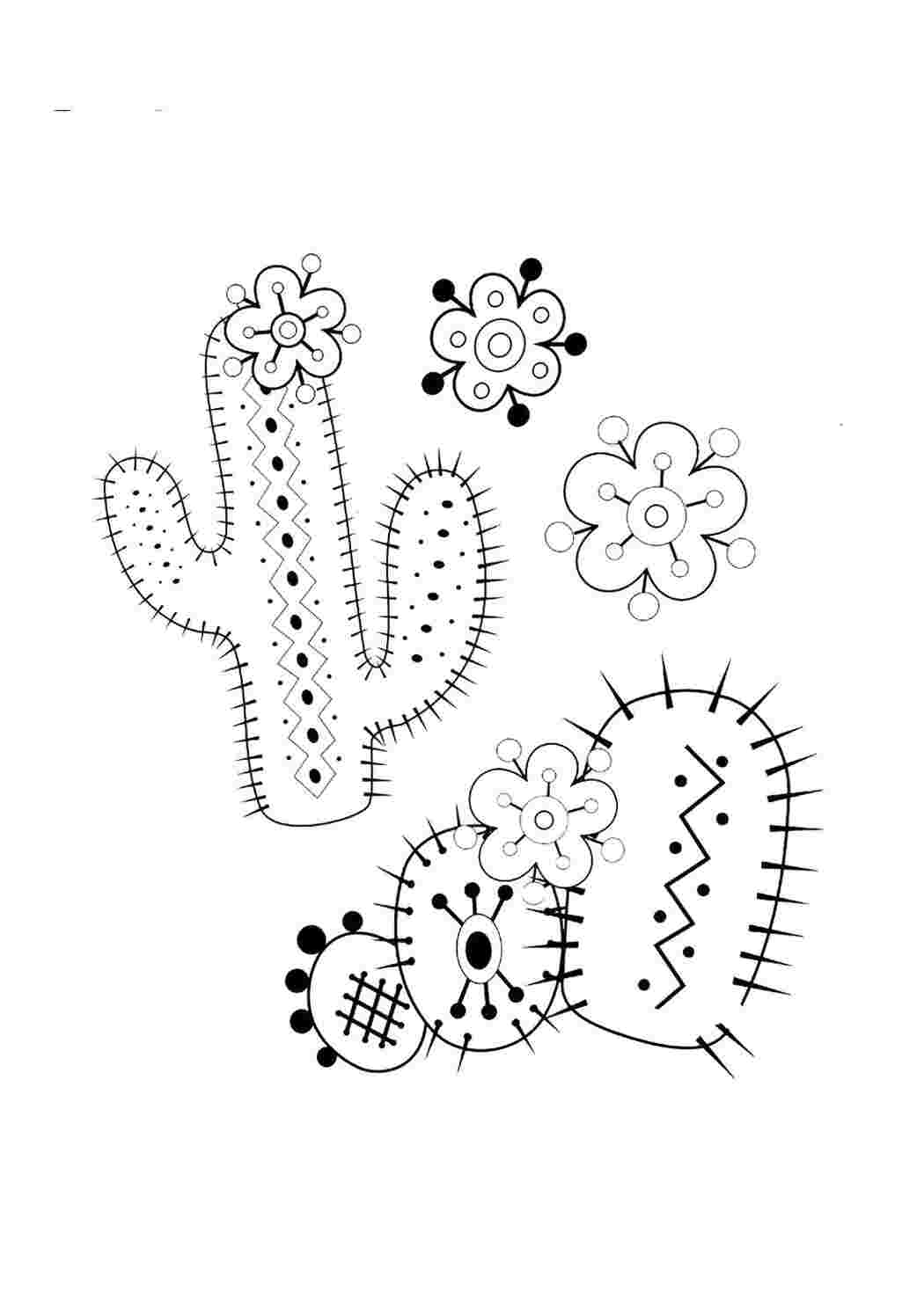 Раскраска Кактусы