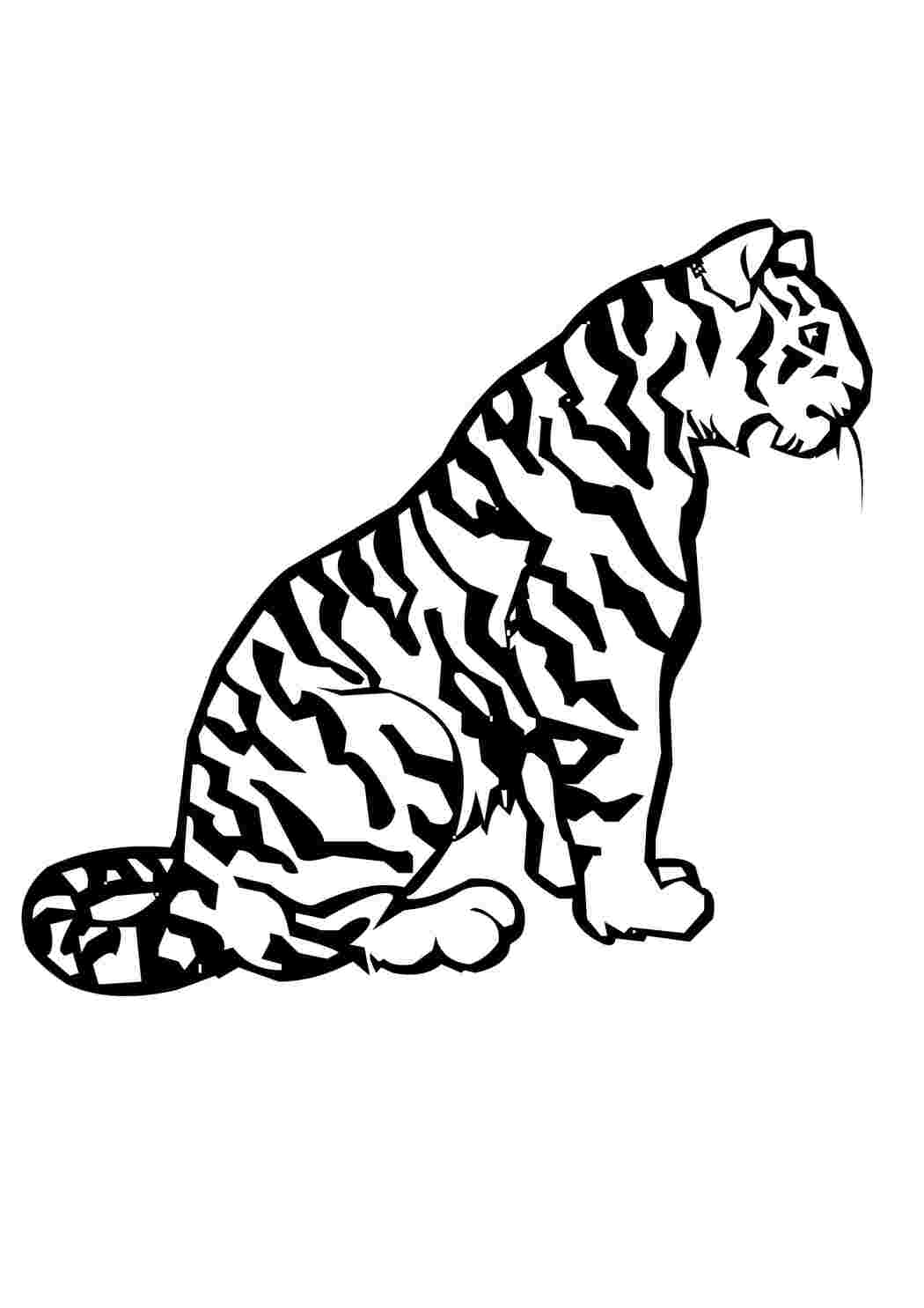 Раскраска Семейство кошачьих