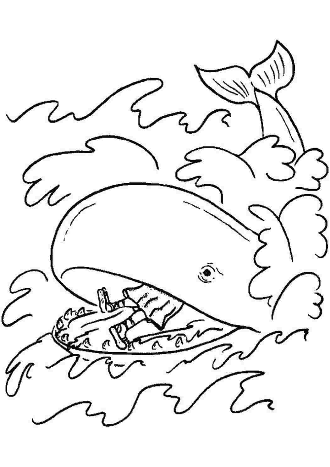 Раскраска кит огромен