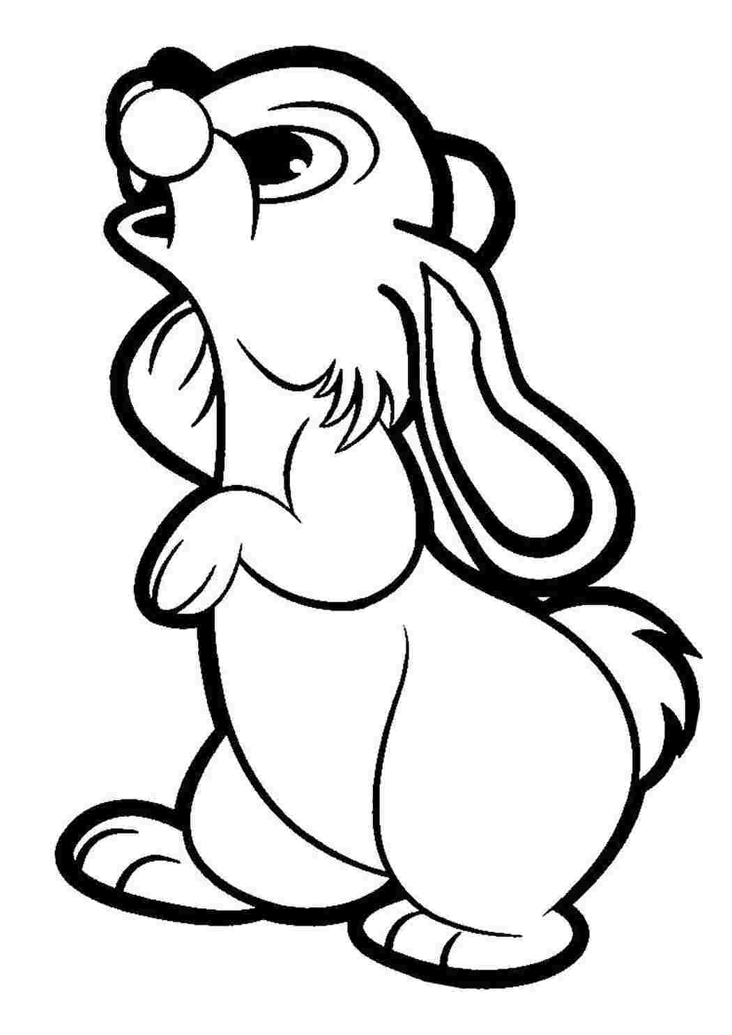 Раскраска Заяц