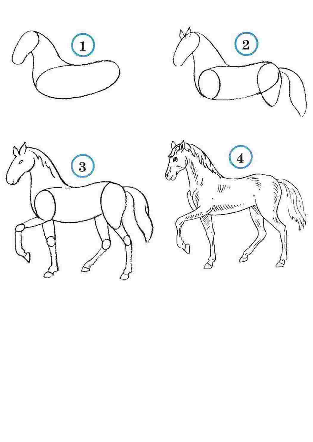 Рисунок лошади для детей 8 лет