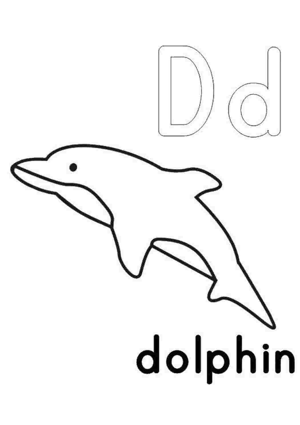 Карточки по английскому языку Дельфин
