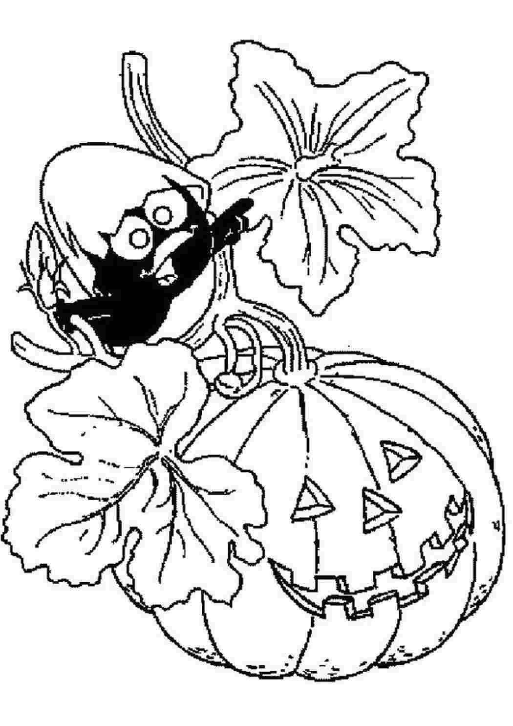 Раскраска Тыковка