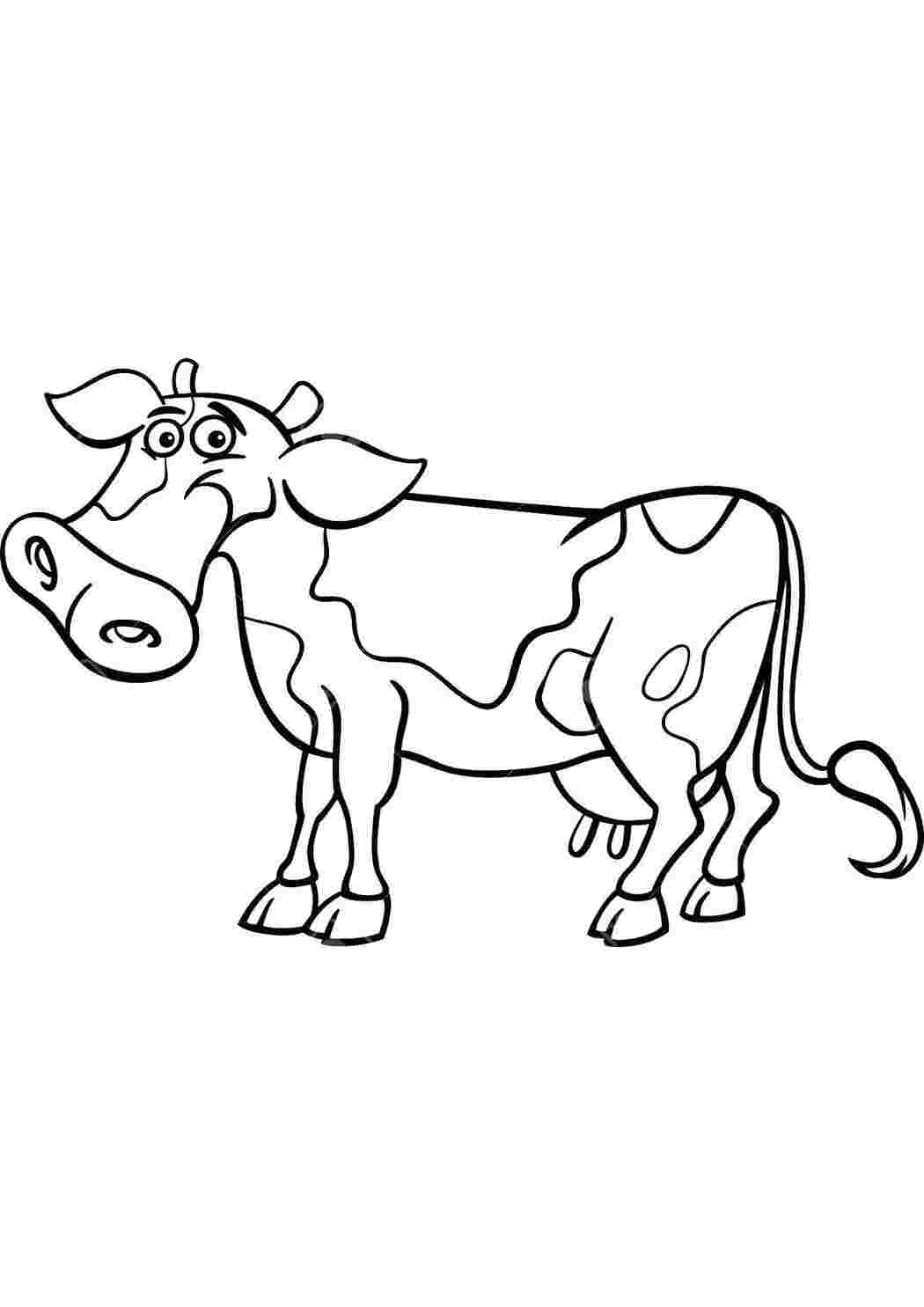 Cow раскраска