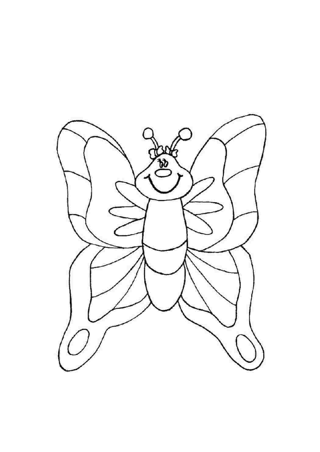 Раскраска Бабочка