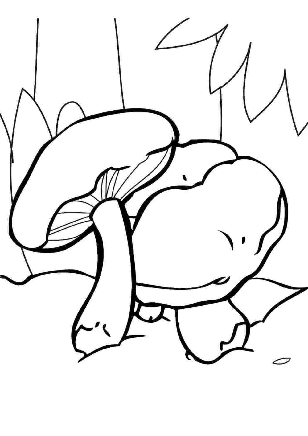 Раскраска Грибы