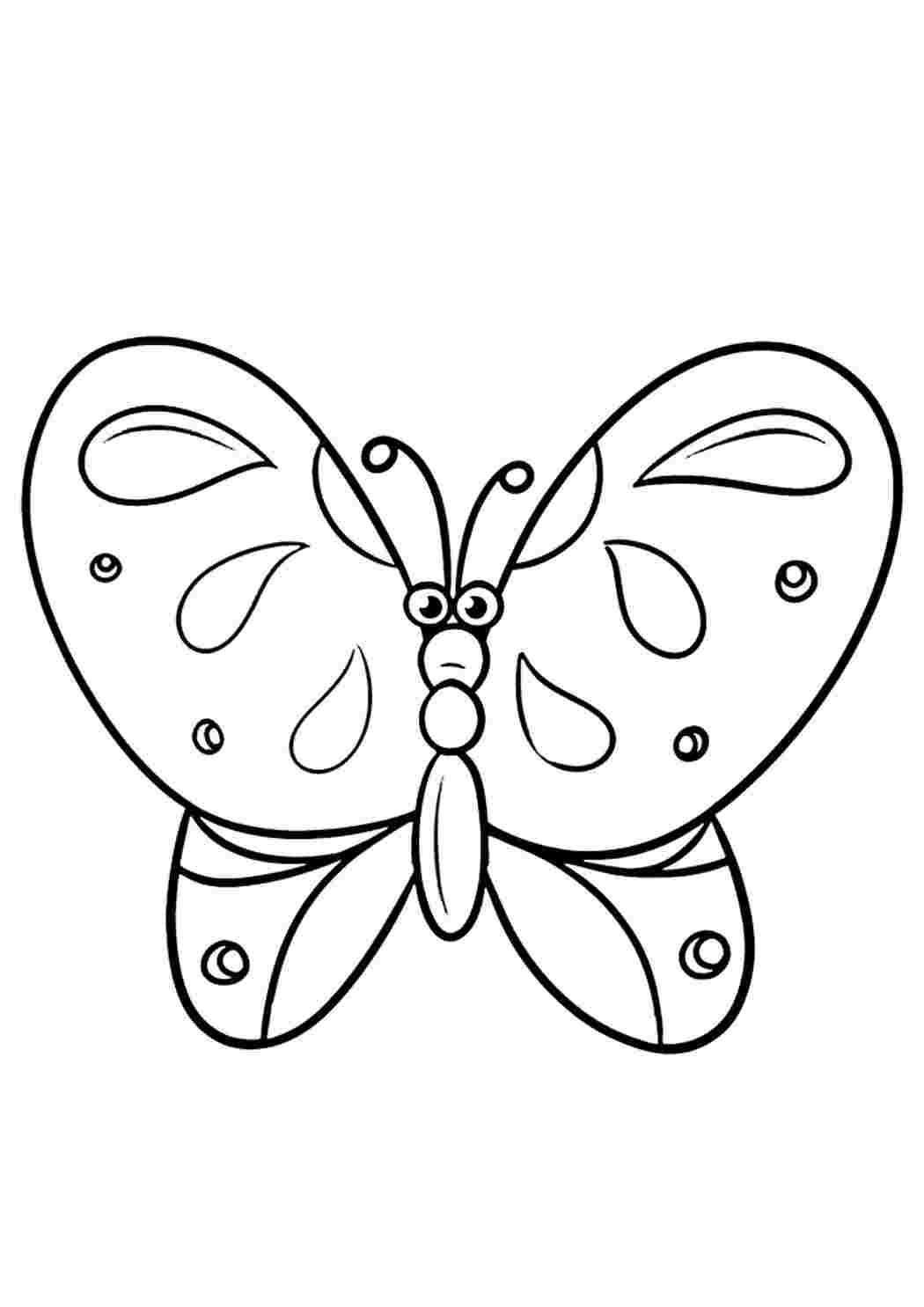 Эскиз бабочки для детей