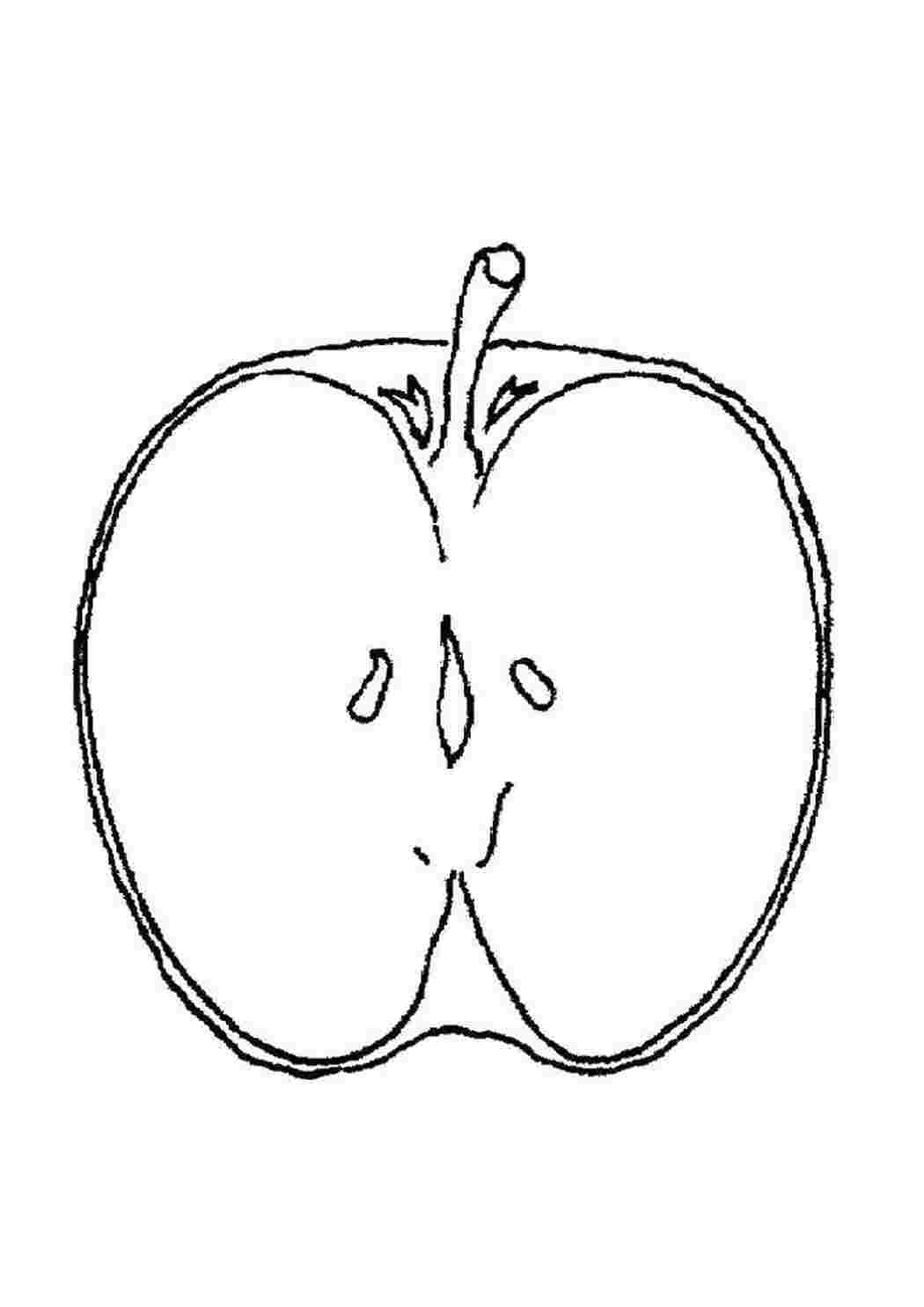 Половинка есть у яблока. Яблоко раскраска. Яблоко в разрезе. Яблоко раскраска для детей. Яблоко в разрезе контур.