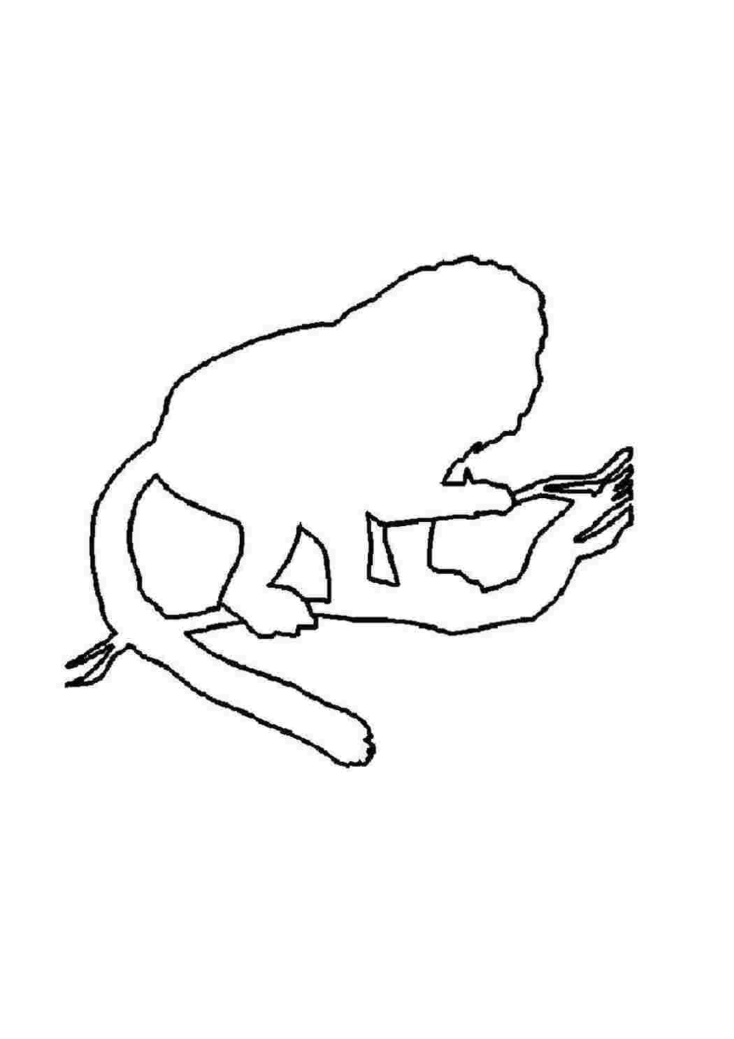 Раскраска Обезьяна