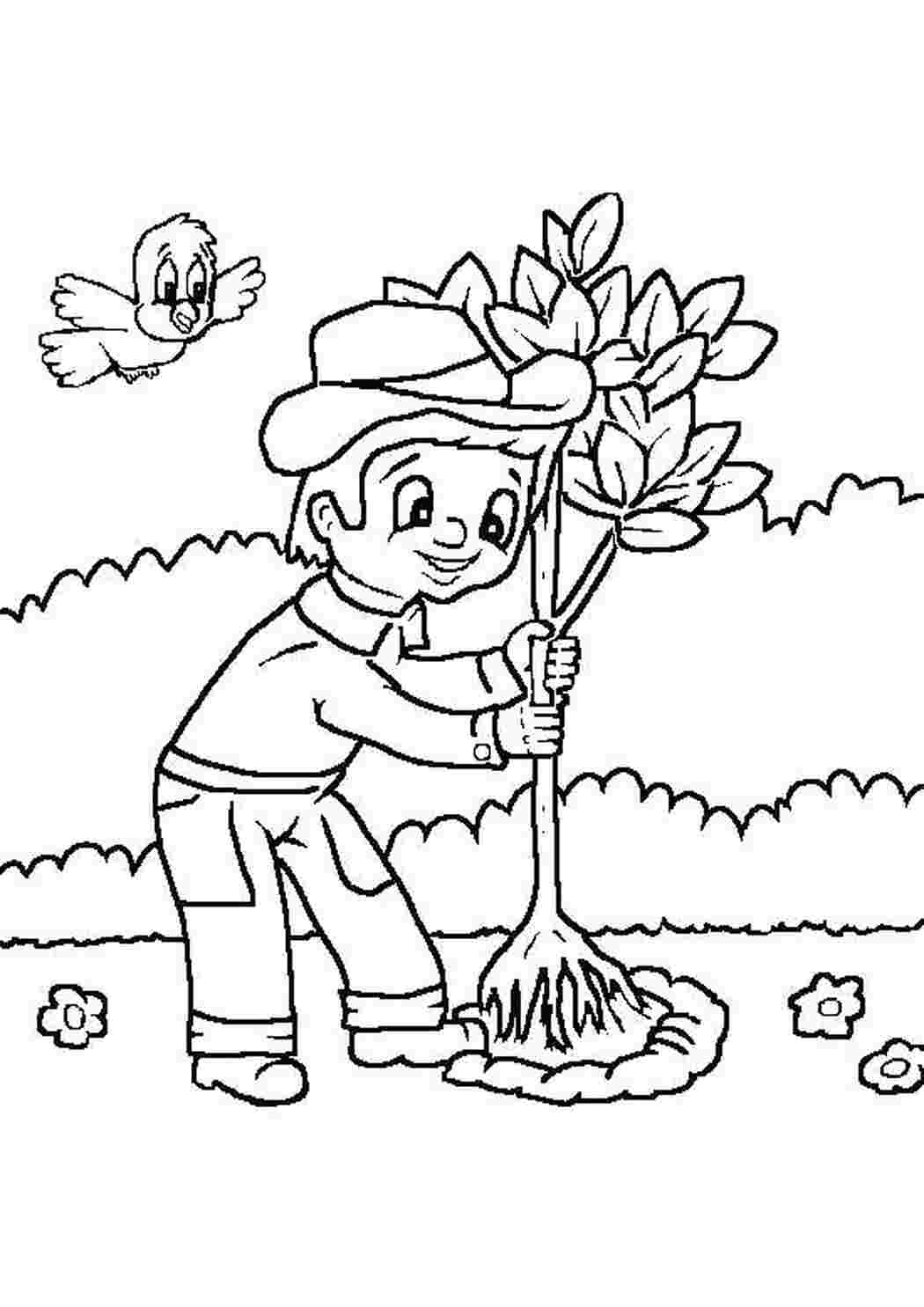 Раскраска Посадка дерева