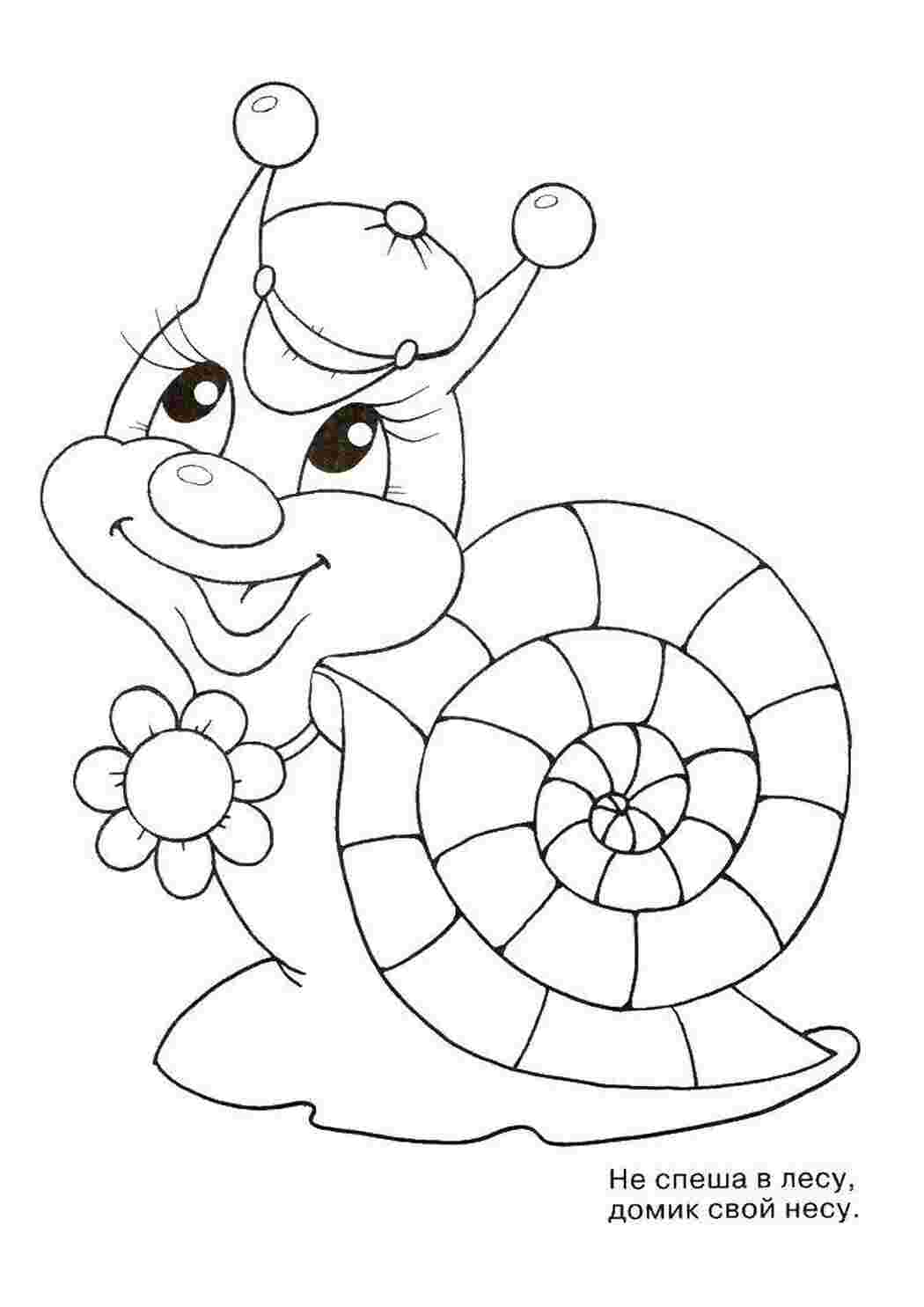 Раскраска Улитка