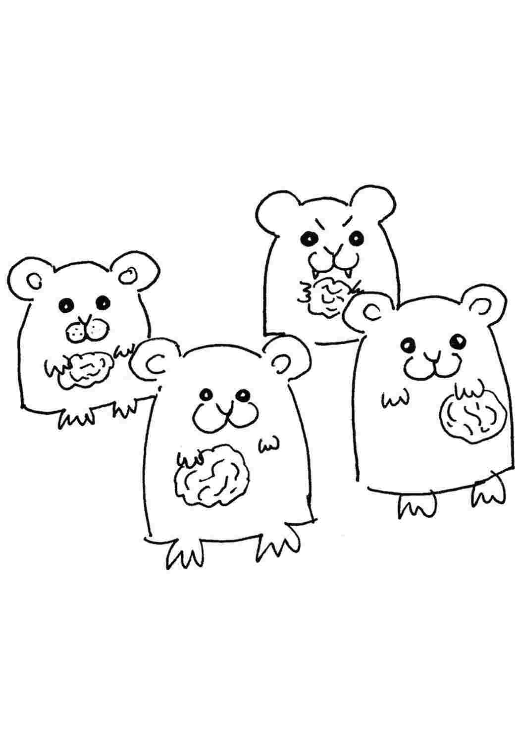 Раскраска Хомячки