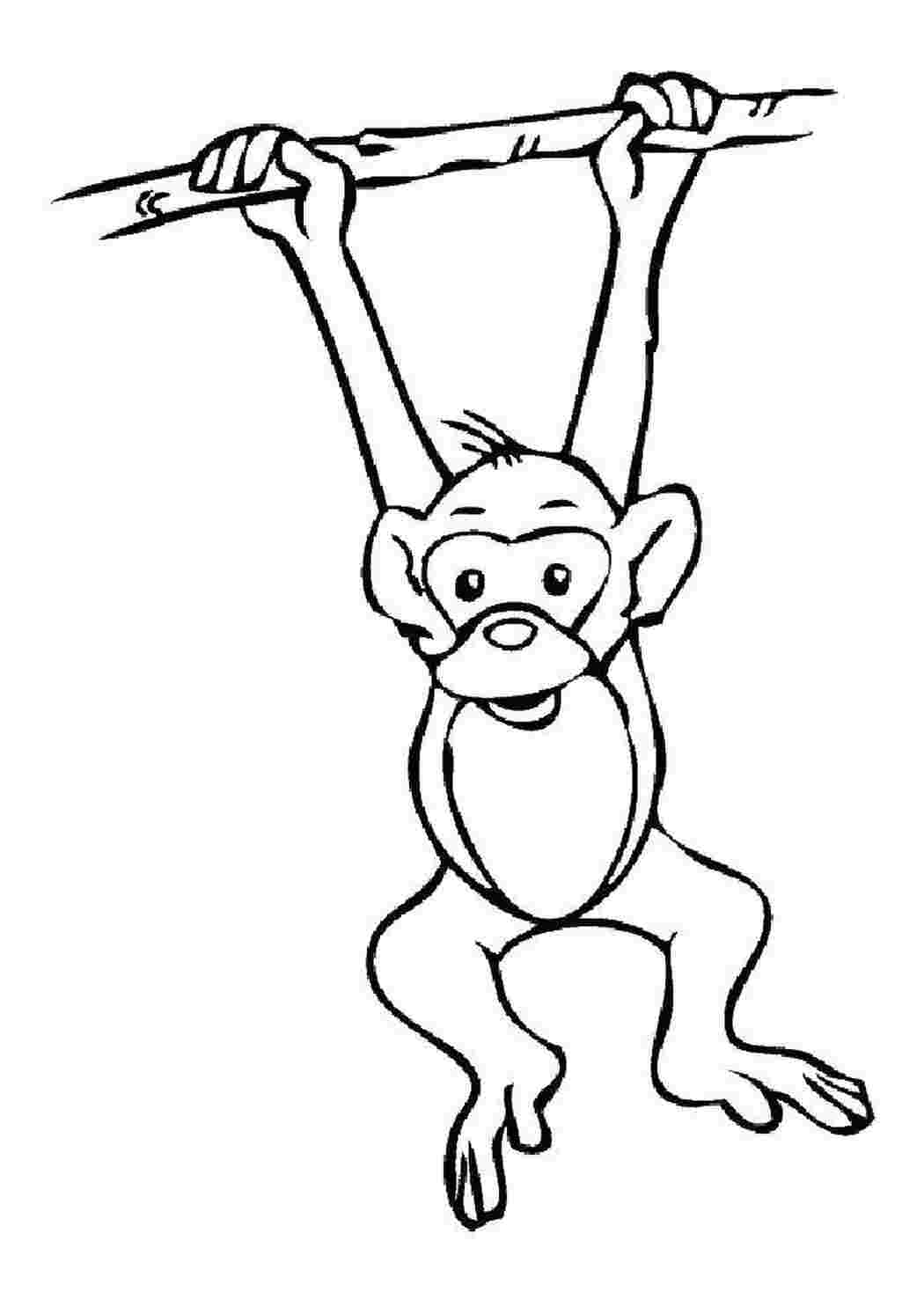 Раскраска Обезьяна