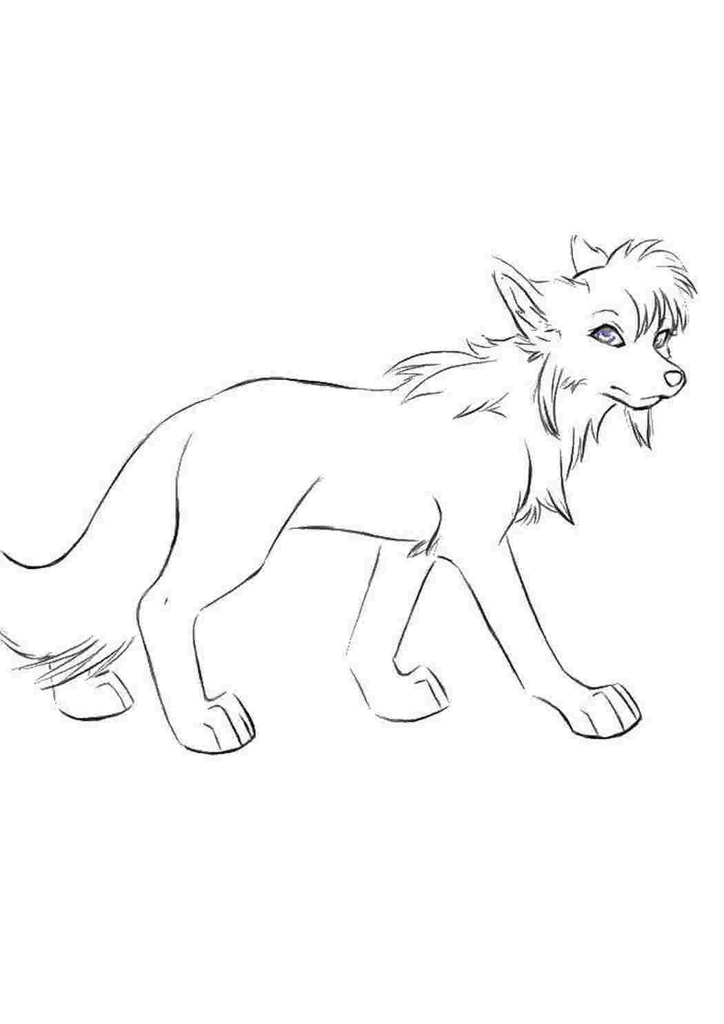 Раскраска Волк