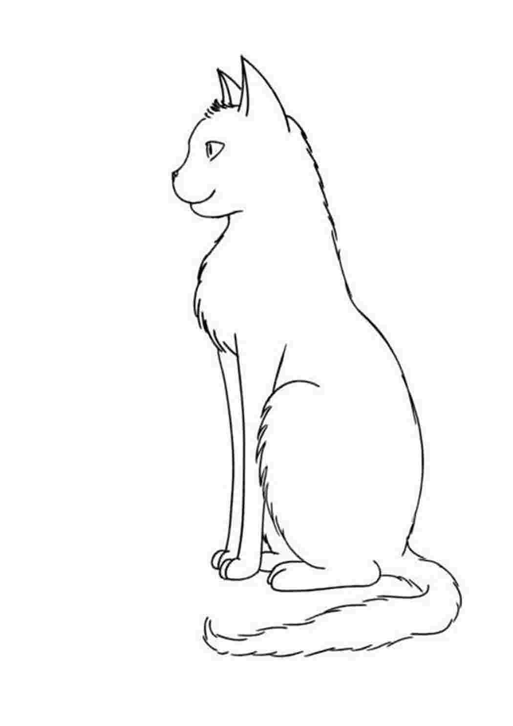 Кот сбоку рисунок