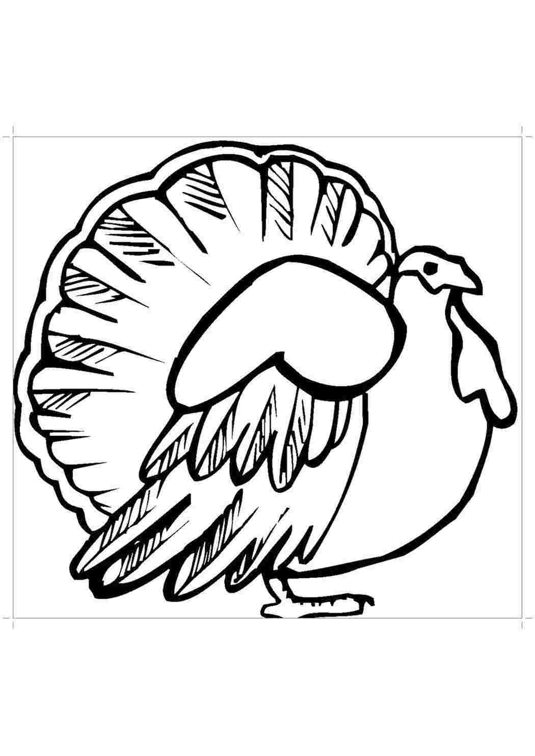 Раскраска Индюк нахохлился