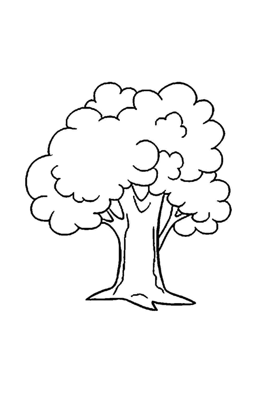 Дерево контурный рисунок для детей