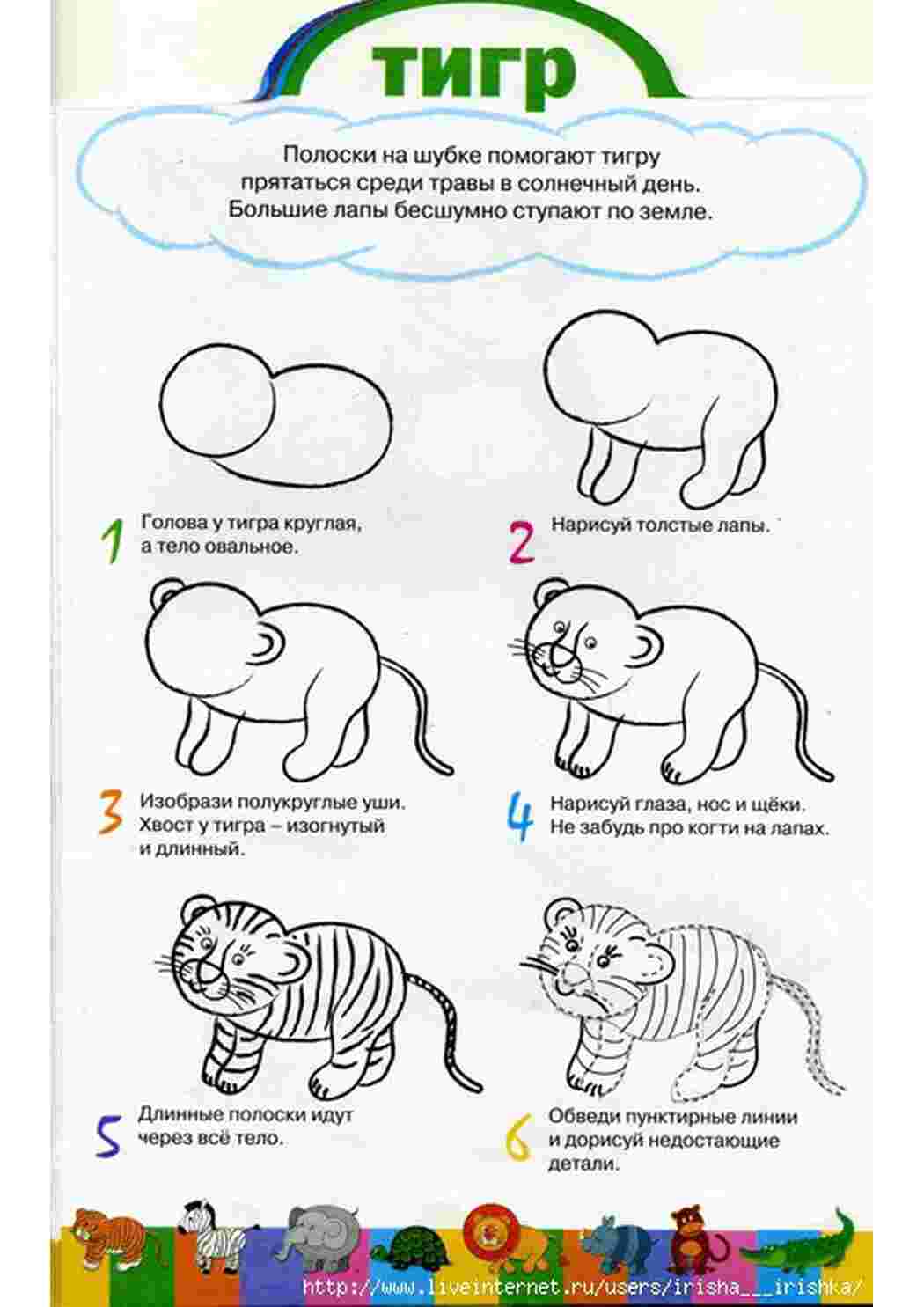 Схема рисования тигра для дошкольников