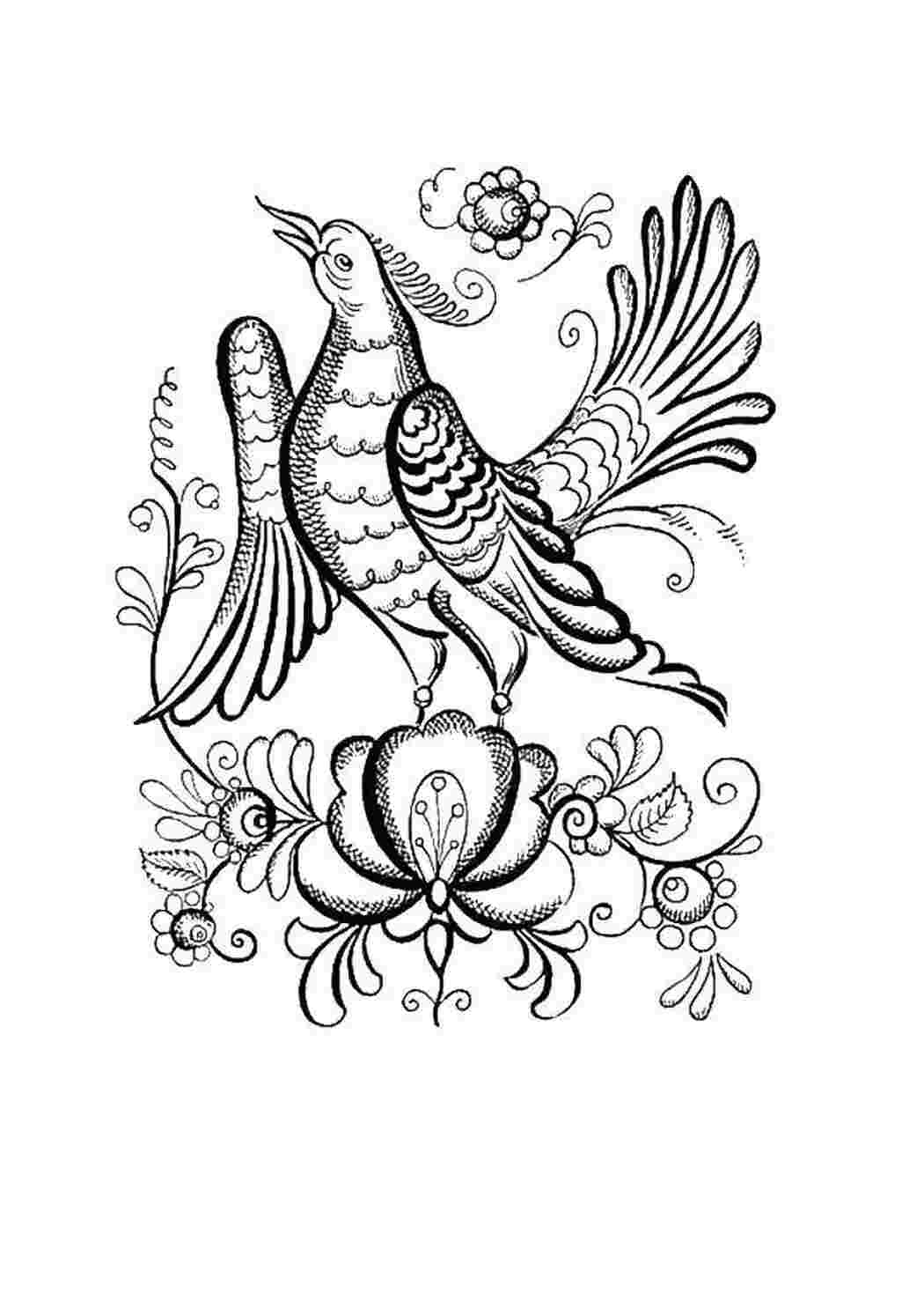 Раскраска Птица