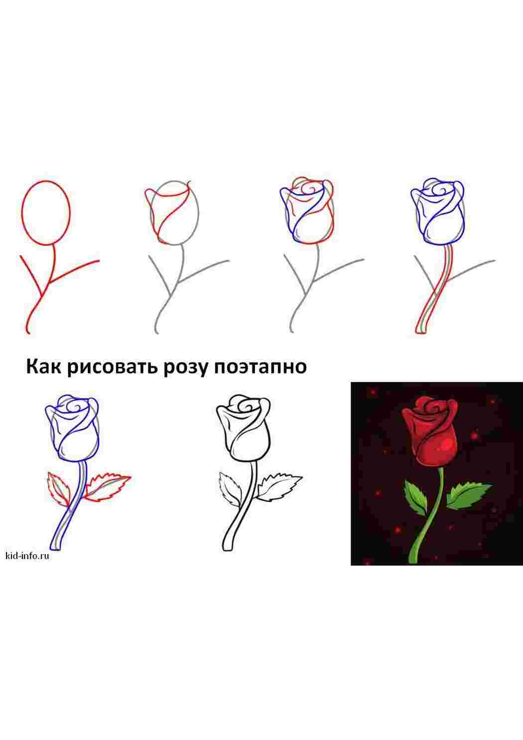 Роза цветок рисунок поэтапно