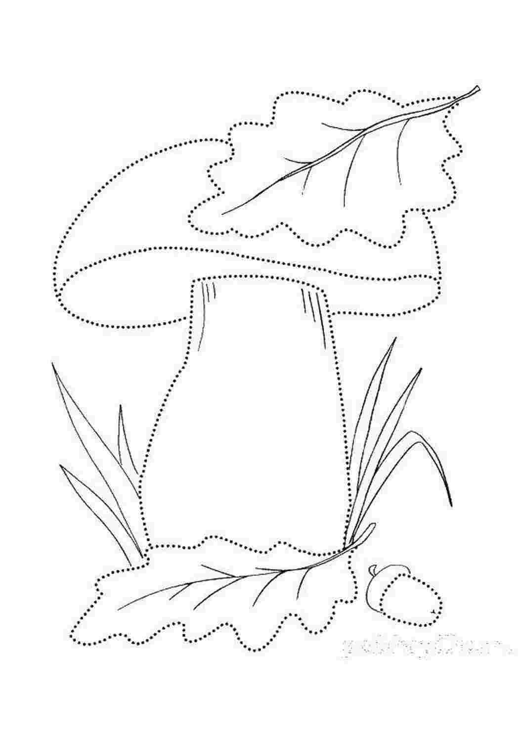 Раскраска Гриб