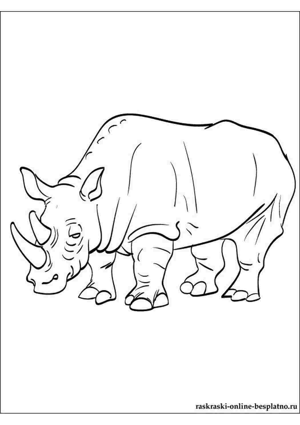 Носорог рисунок для детей раскраска