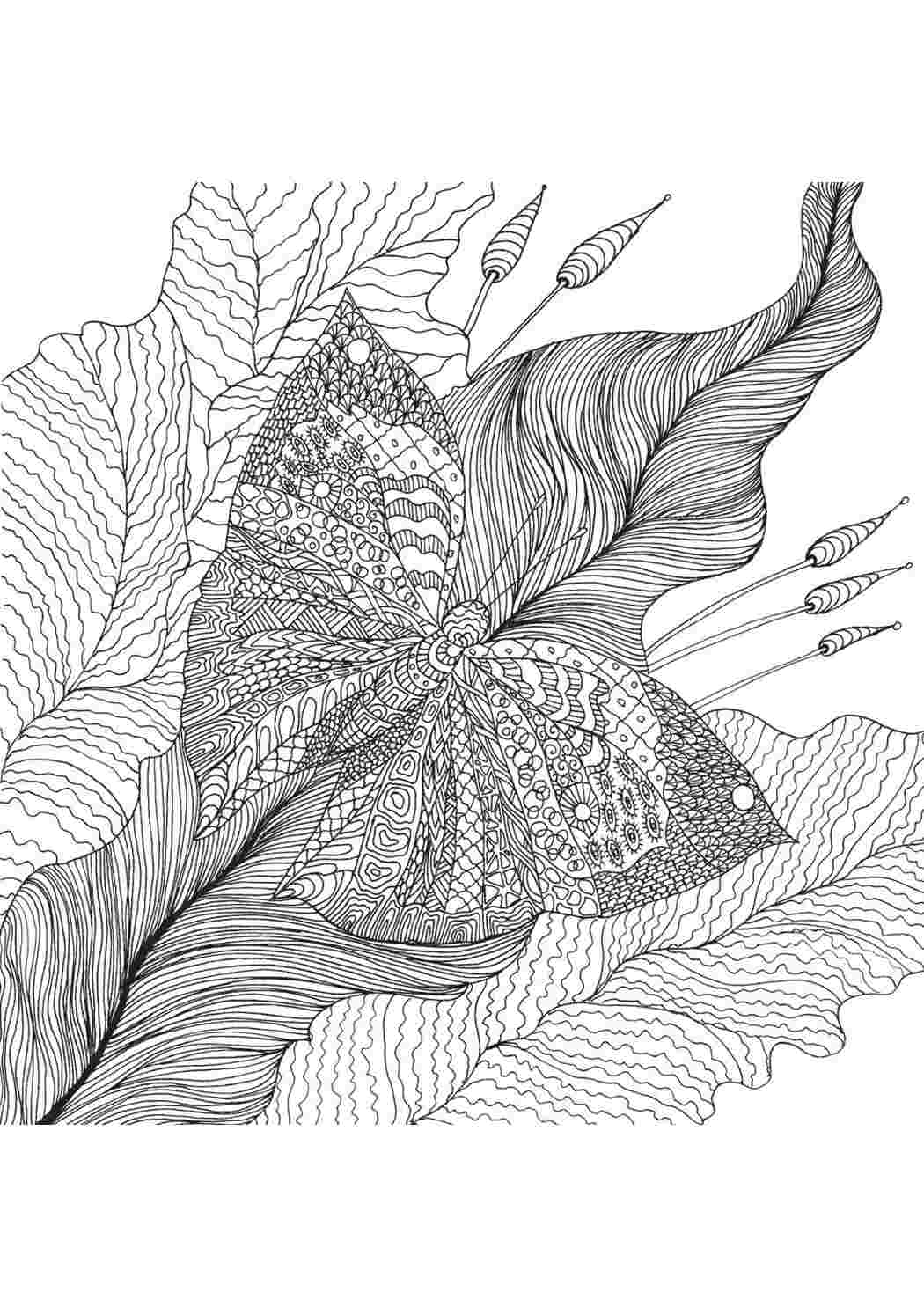 Раскраска цветок