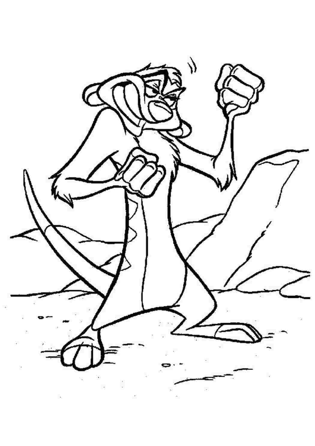 Раскраска Тимон