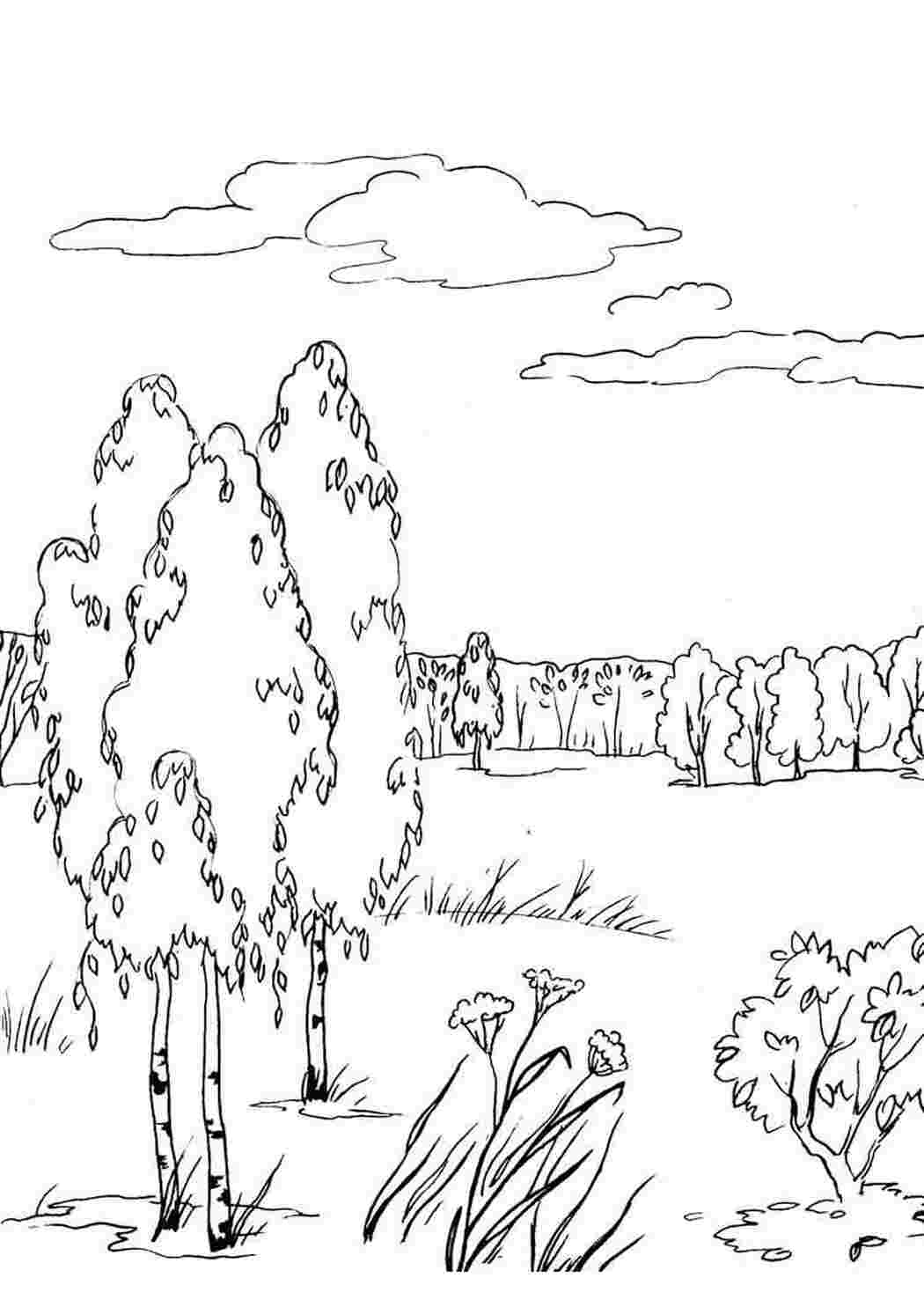 Раскраска Скачать или распечатать раскраску распечатать скачать