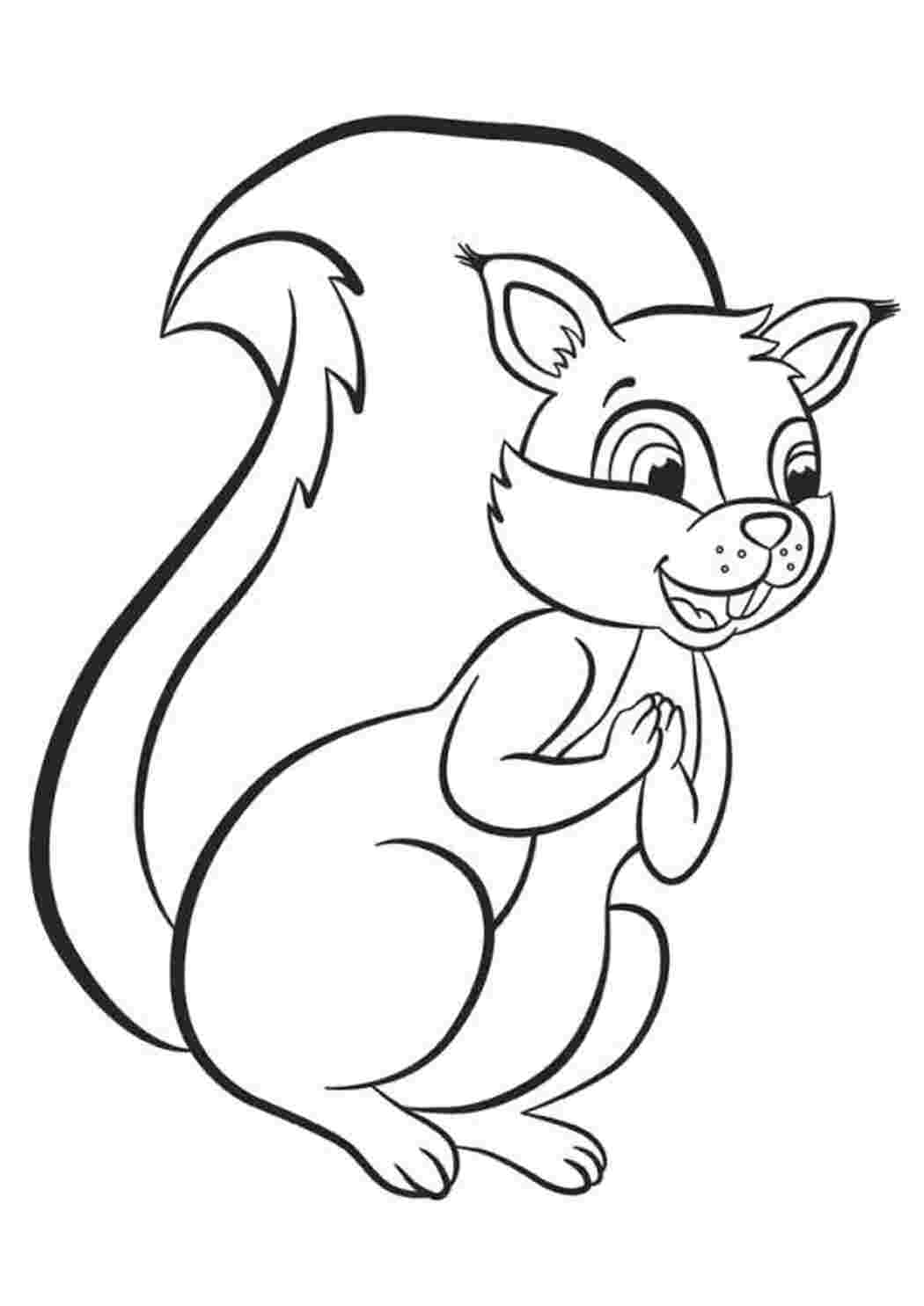 Раскраска Бельчонок