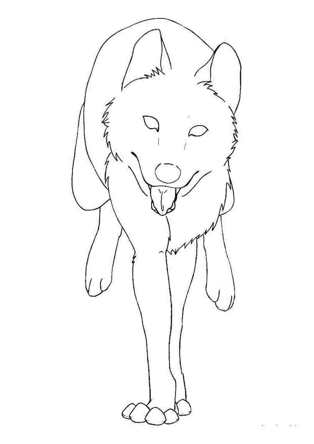 Раскраска Волк