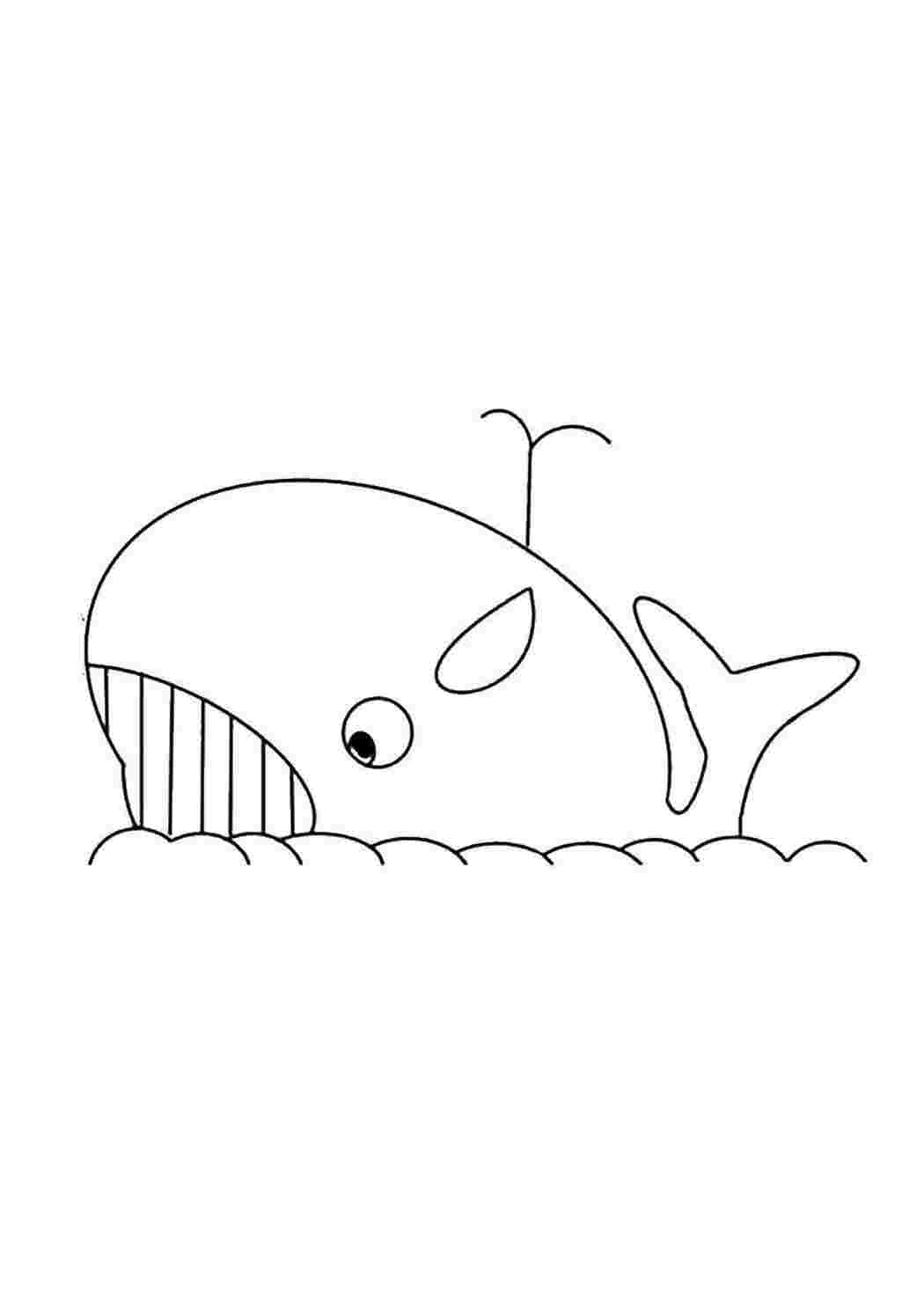 Раскраска кит