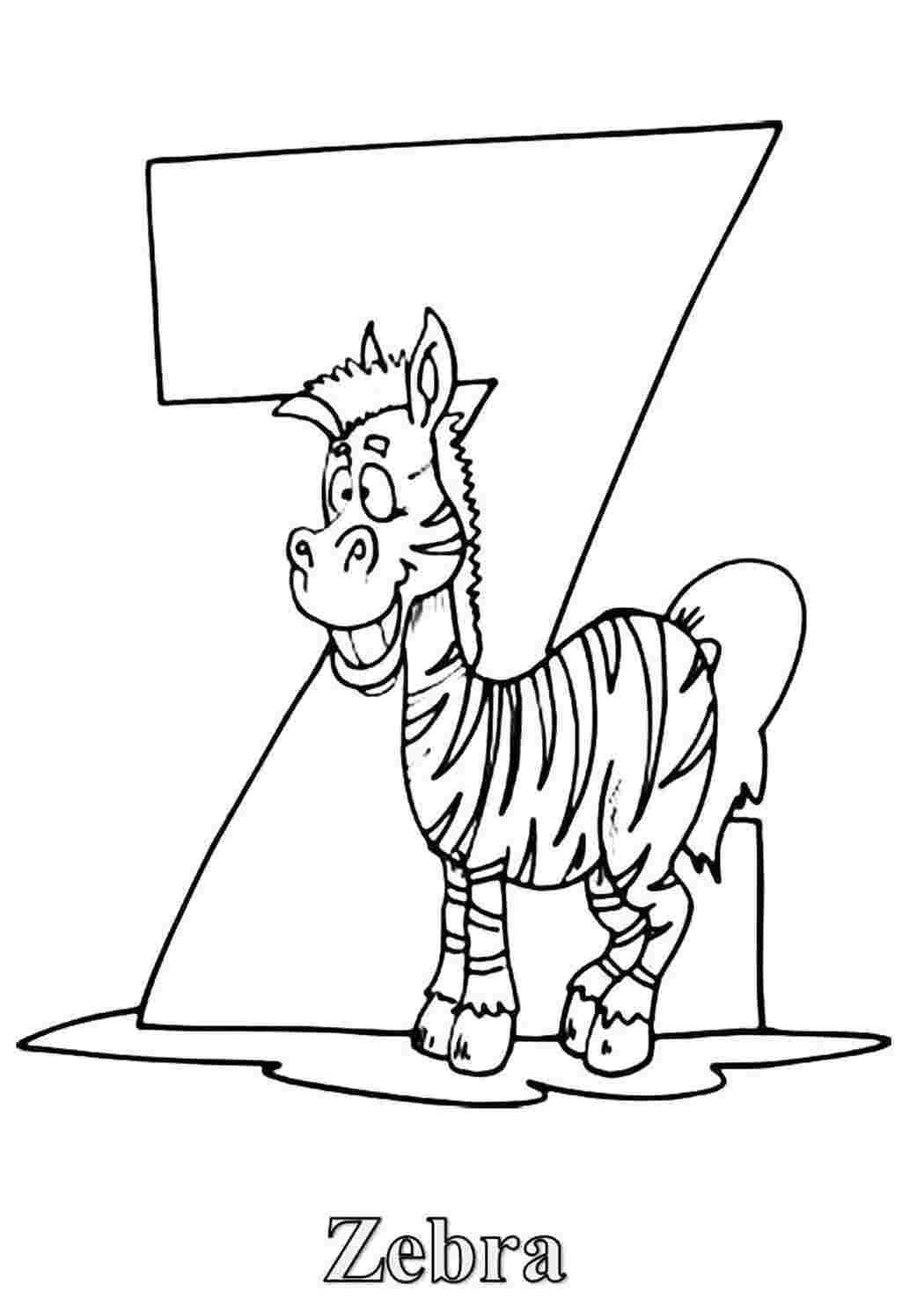 Раскраска  буква z- zebra