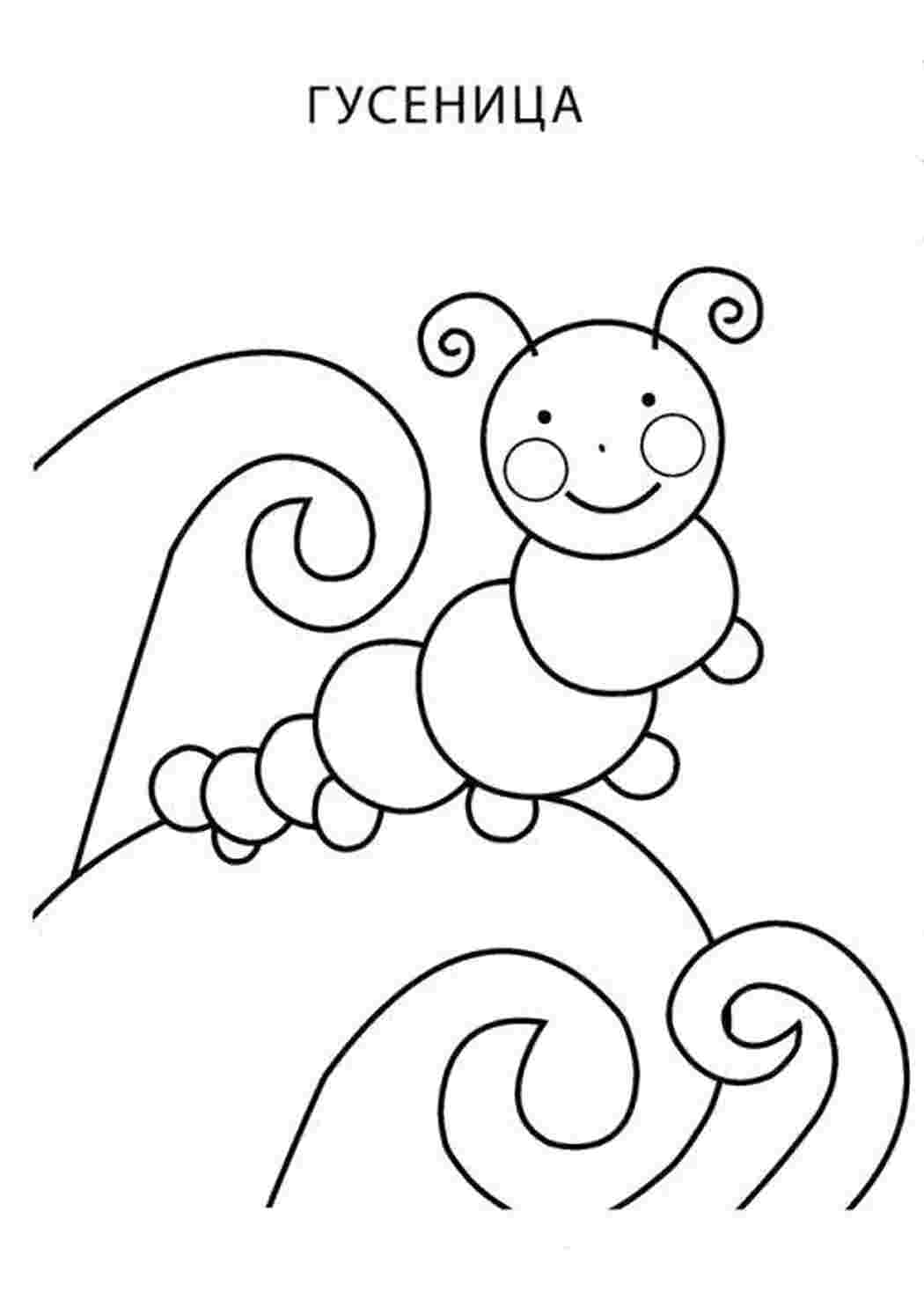 Раскраска Веселая гусеница