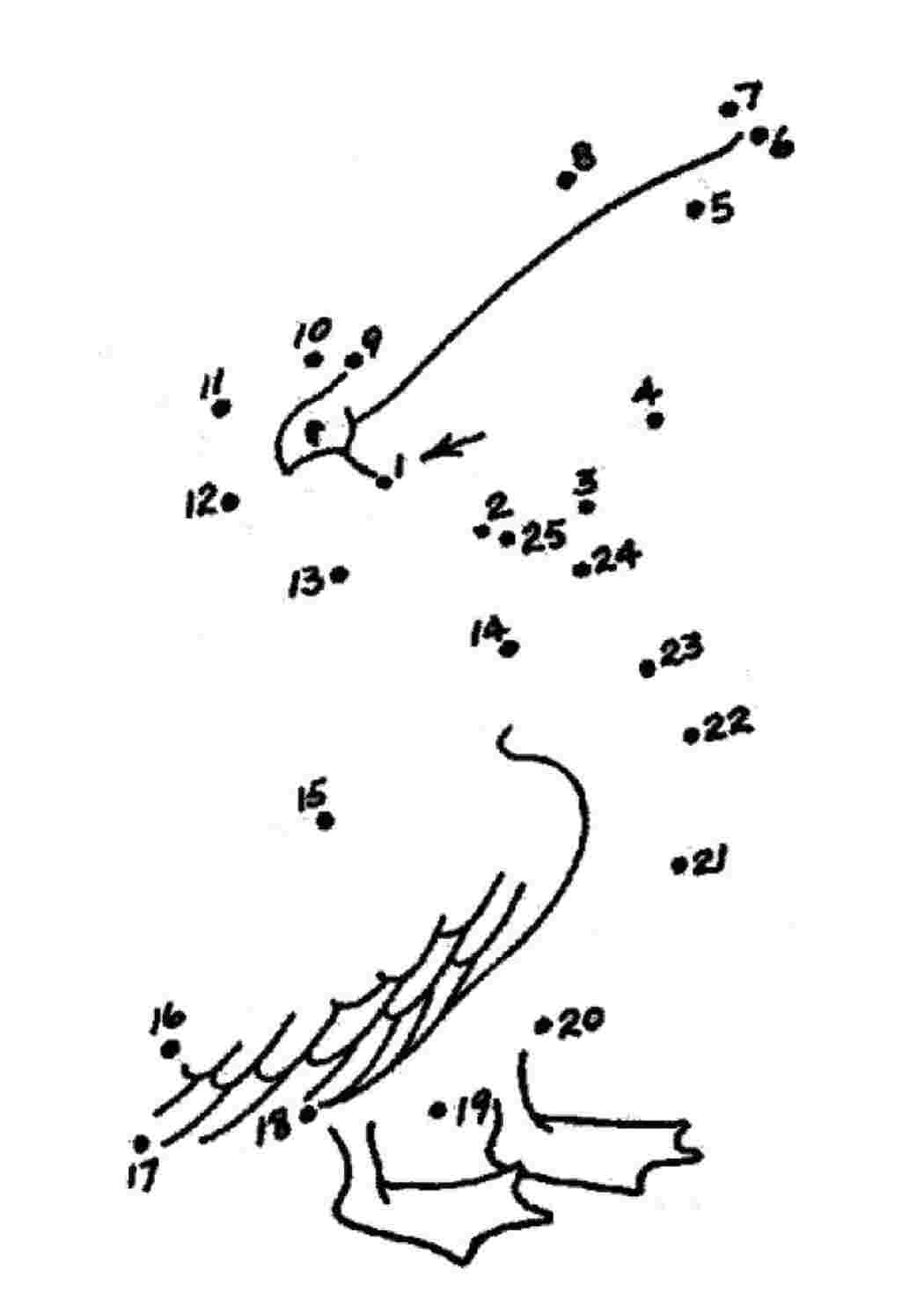 Птица цифра 1. Рисование птиц по точкам. Рисование птиц по точкам и цифрам. Соединить птиц по точкам. Рисование по цифрам птицы.