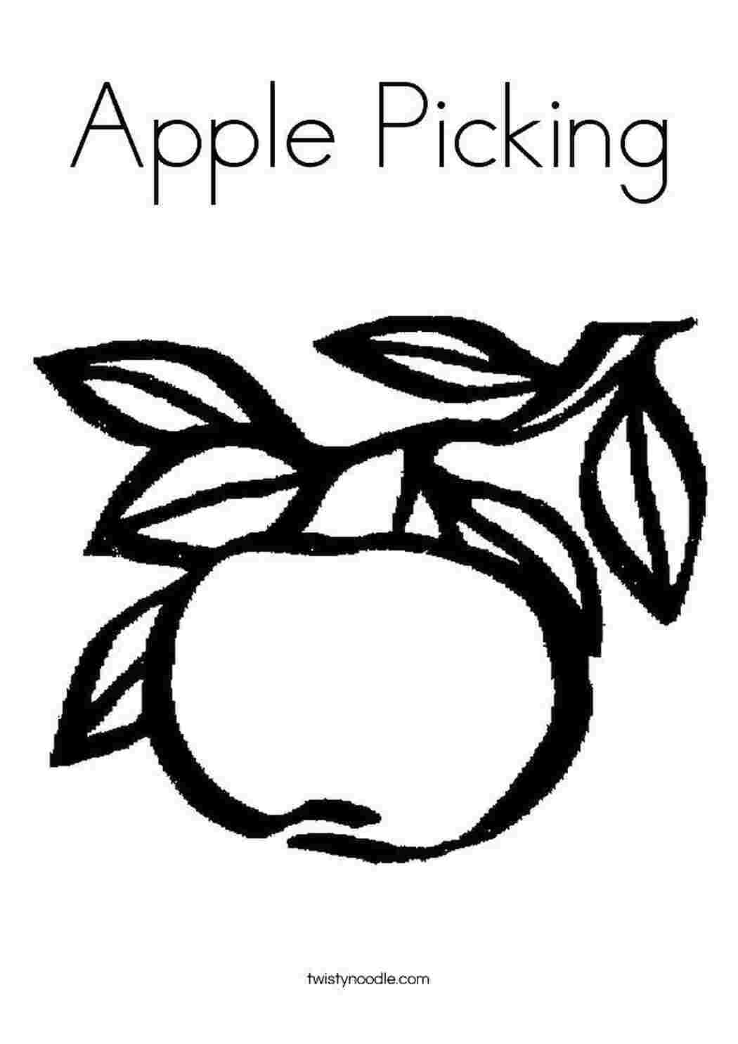 Ветка яблони с яблоками раскраска
