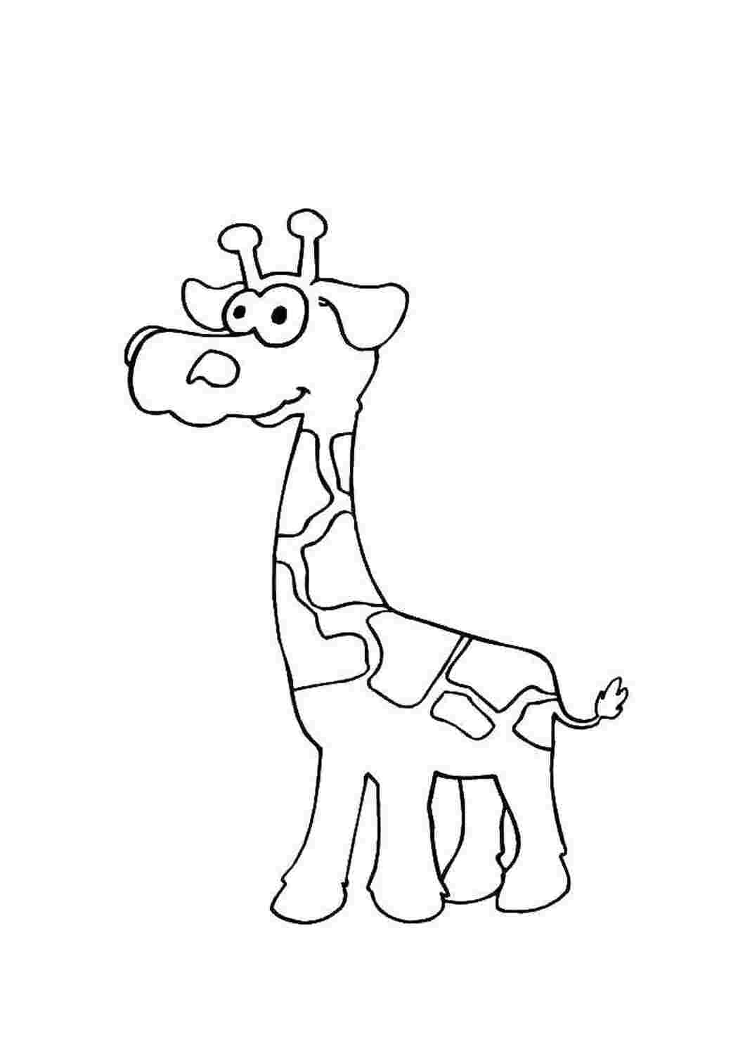 Раскраска Жираф